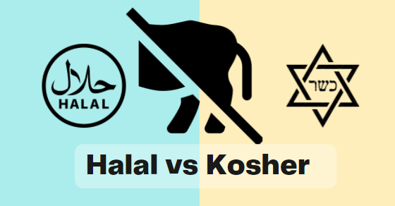 What Is Halal The Difference Between Kosher And Halal Featured Blog